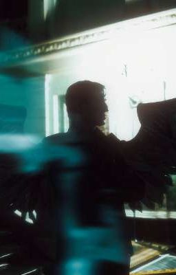 От ненависти до любви всего лишь один шаг...