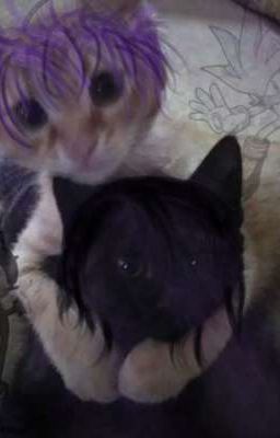 𐌗᧐дячᥙᥱ ⲙᥱρᴛʙᥱцы>ᴗ<