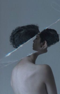 «Братья Морисс»