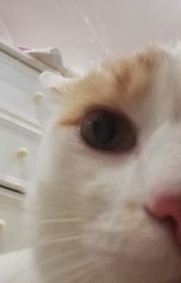 Нкей стал вампиром