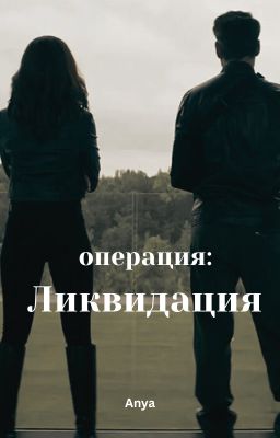 операция: Ликвидация