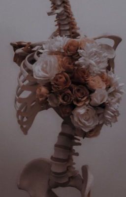 три письма больной ханахаки