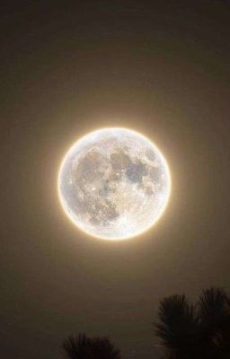 Ночи повернутые на тебе