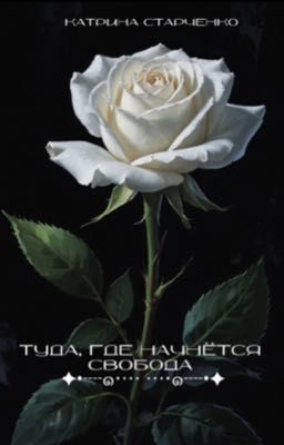 Туда, где начнётся свобода