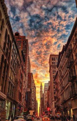 Университетские Будни 