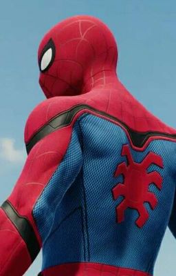 Один день или поездка в СИ.