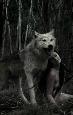 От ненависти до любви....