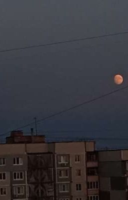 Не такая как все 