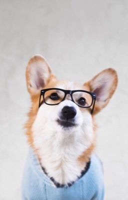 Тексты песен Элджея 