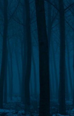 Жуткая ночь