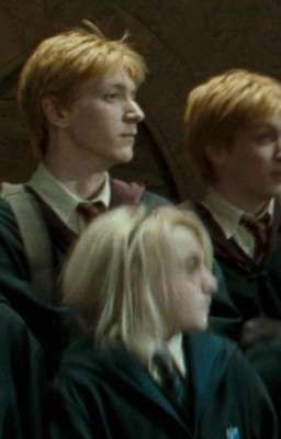 близнецы, мои близнецы. 