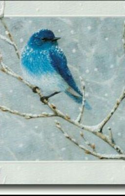 птица на снегу . Армандо Вальдес.