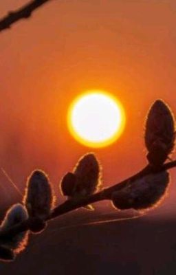 Школьная жизнь. 