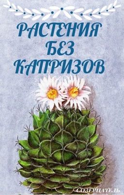 Растения без капризов