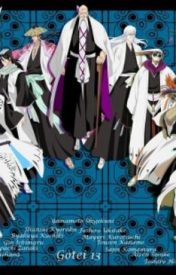 Институт "Готей 13"