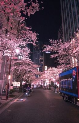 Дорамы и песни