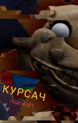 Курсач подождёт