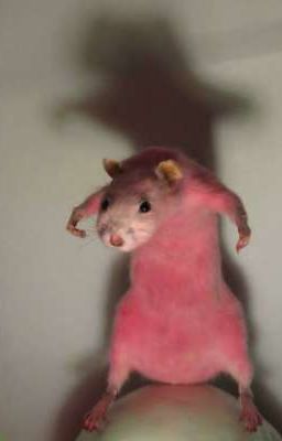 🔞🥀Насилие 14 летней девочки🥀🔞