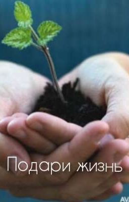 Подари Жизнь