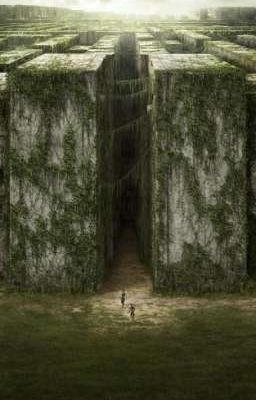 бегущая в лабиринте