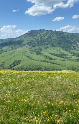 Пустая миля