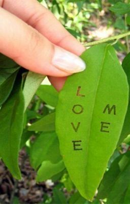 Неожиданность. ..