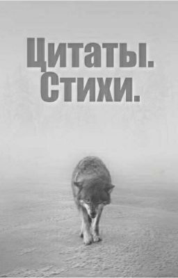 Цитаты. Стихи.