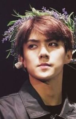 Любимый братик