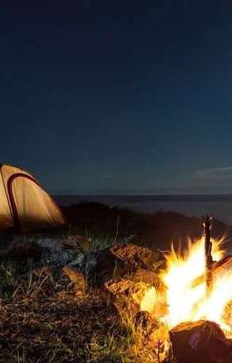 Лесной лагерь