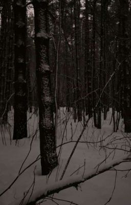 Следы за окном | страшилка