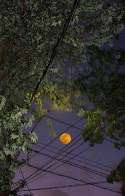 «Повороты судьбы» в Хогвартсе