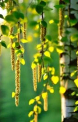 Мистический поход