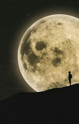 А Вы боитесь войны? 