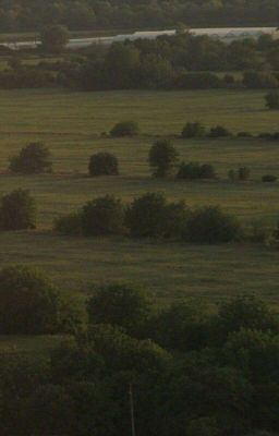 Ненавижу тебя..... [ЗАВЕРШЁН]