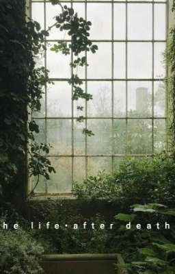 Мир после сметри