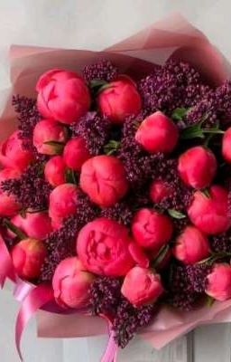 просто картинки🌼