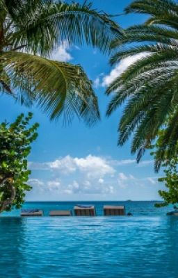 Мы Нашли Свою Любовь...