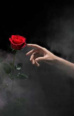 Разочарование во тьме 