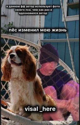 пес изменил мою жизнь [ЗАМОРОЖЕН]