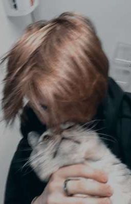 любовь к врагам 