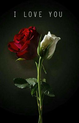 Я Люблю Тебя.