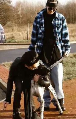 музыка связывает нас. 