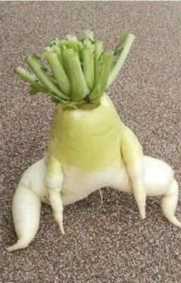 Вегетарианец