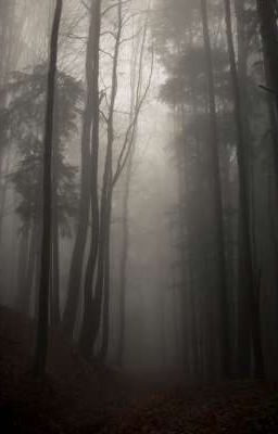 проклятый лагерь 