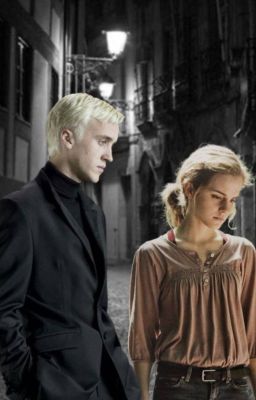 Правда или Ложь?