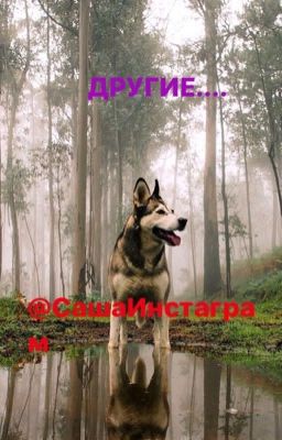 Другие....