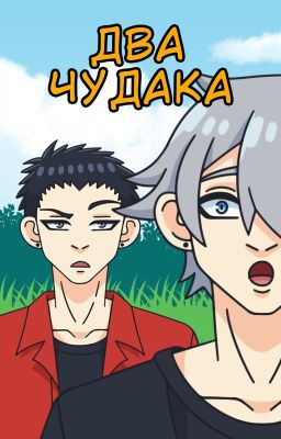Два чудака