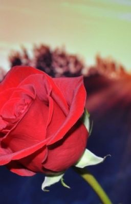 Опасные Связи