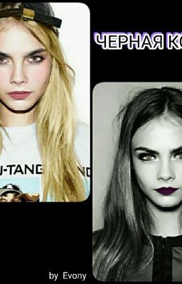 Черная кошка