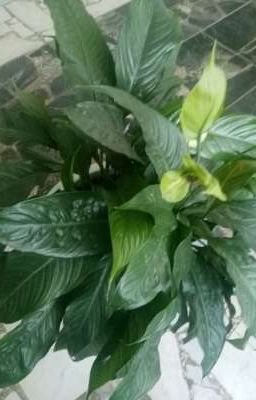 Жди меня и я вернусь 😪😭